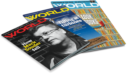 How Mark Souder Fell